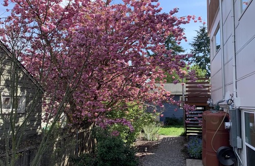 Greenwood Apartment | New, Modern, Green and Thoughtful LEED certified, solar powered apartment