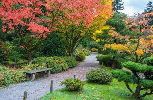 Mann House | New modern Nordic style home, View, Rooftop deck