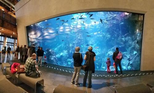 Mann House | New modern Nordic style home, View, Rooftop deck