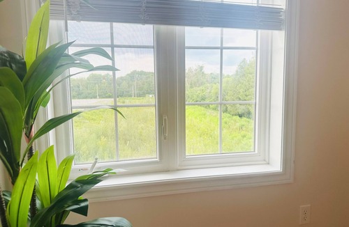 Guelph House | New, Modern & Spacious 2 bed, 1.5 bath | ~5 min to top attractions