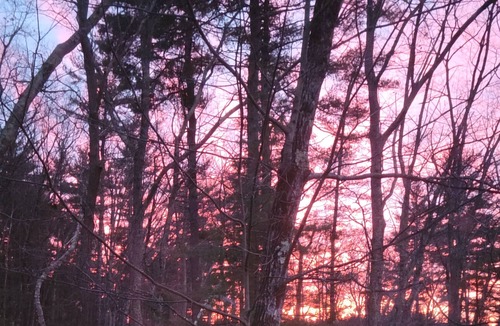 Windham House | New openings in July and August! Pet Friendly, Waterfront Property