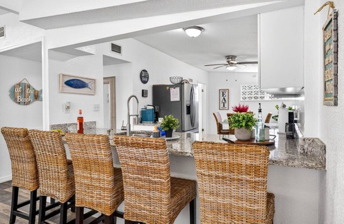 New Port Richey House | New Port Richey Downtown 🌴