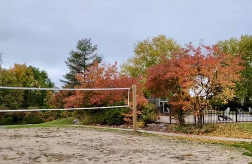 Oro-Medonte Apartment | NEW Ski-In Ski-Out 1-BED Condo - Pool, Gym, Sauna