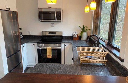 Rockbridge Baths Ski Chalet | NEW! The Nest Treehouse
