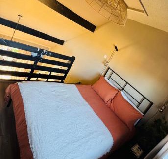 Wigston House | New, unique, tiny house with garden