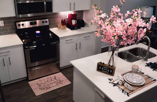 Lindbergh Apartment | New Upscale Luxurious Apartment (BuckHead Area)