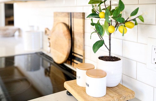 Wylie House | New Year’s Retreat. Cozy Modern Farmhouse! Close to historic downtown Wylie!