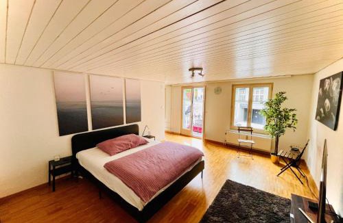 St. Gallen Apartment | Newly furnished beautiful old building apartment in the center with Apple TV O1