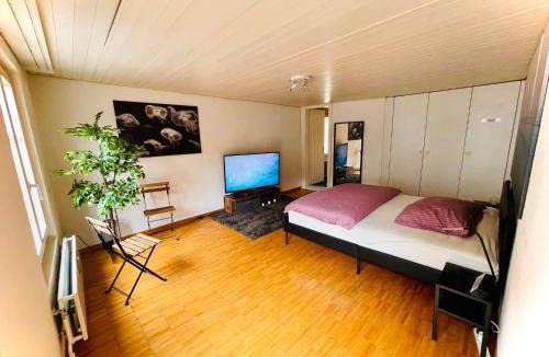 St. Gallen Apartment | Newly furnished beautiful old building apartment in the center with Apple TV O1