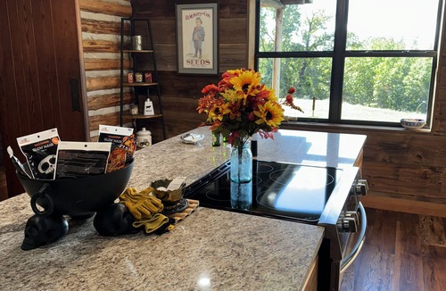 Clarksville House | Newly Listed Iron Mountain View Getaway
