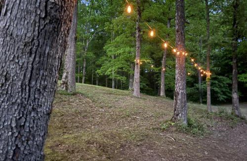 Beattyville House | Newly Listed-Private 25-Acre Escape Near Red River Gorge