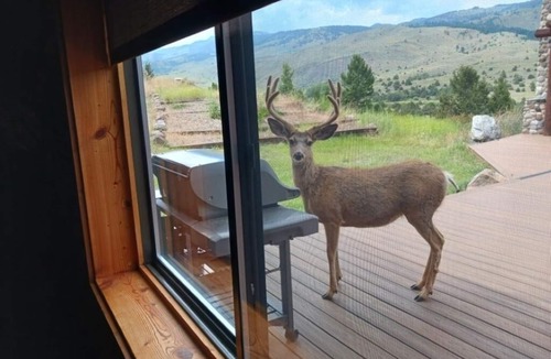 Emigrant House | Newly Listed! Yellowstone Mountain View