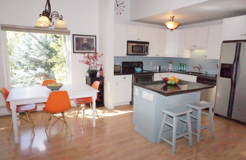 Snowmass Village Condo | Newly Remodeled Close to everything in Snowmass Village (203090-2371)