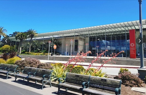 Inner Richmond Apartment | Newly Remodeled 1-BR Apt steps from Museums, Golden Gate Park, & Attractions