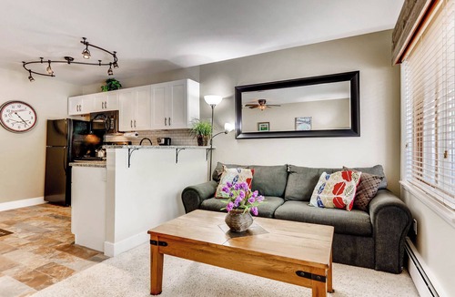 Four O'Clock Condo | Newly Renovated Building-1 Bedroom Condo. Recent Updates, Ski In, Walk to Main S
