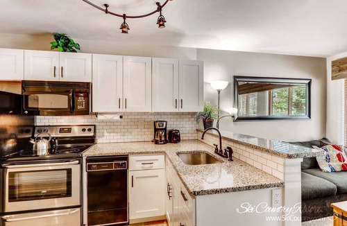 Four O'Clock Condo | Newly Renovated Building-1 Bedroom Condo. Recent Updates, Ski In, Walk to Main S