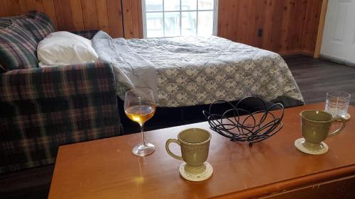 Carbondale House | Newton Lake