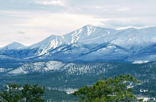 Wilmington Cabin | NewVida Preserve