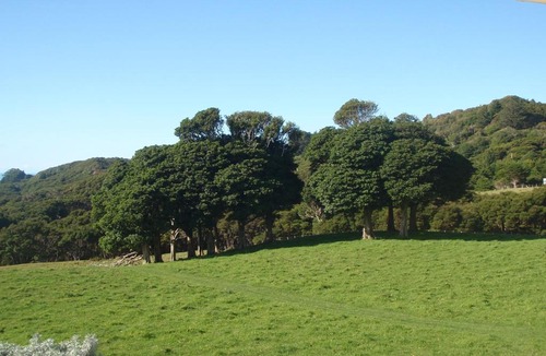 Hicks Bay Bed & Breakfast | Nga Puriri Bed and Breakfast