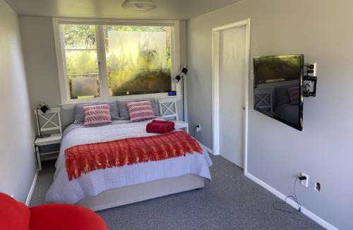 New Plymouth House | Ngamotu Gem