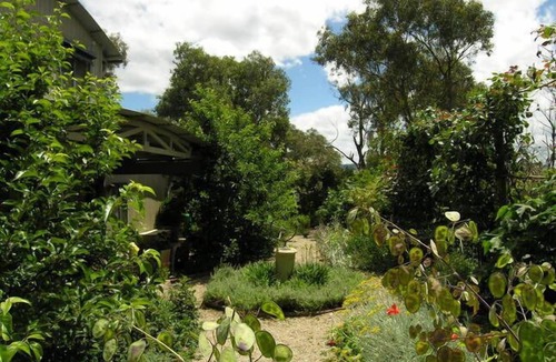 Mountain Bay House | Ngurra Mountain Bay Mansfield