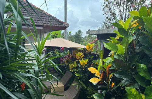 Kenderan Villa | Nia villa ubud