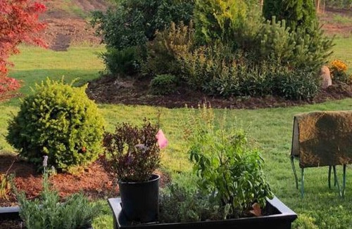Virgil House | Niagara on the lake vineyard vacation home Lic# 013-2022