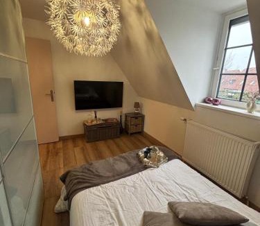 Sequedin House | Nic