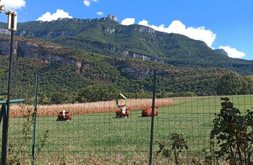 Chambery House | Nice and quiet house for 6 people