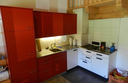 Gsteig Apartment | Nice apartment for 6 guests with pets allowed and parking