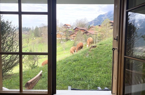 Saanen Apartment | Nice apartment for 2 people with WIFI, TV and pets allowed