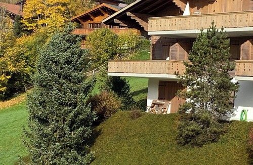 Saanen Apartment | Nice apartment for 2 people with WIFI, TV and pets allowed