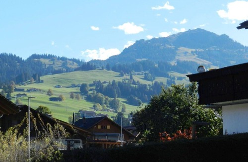 Zweisimmen Apartment | Nice apartment for 3 people with WIFI, balcony, pets allowed and parking
