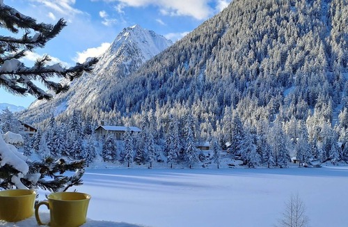 Champex-Lac Apartment | Nice apartment for 4 people with WIFI, TV, balcony, pets allowed and parking