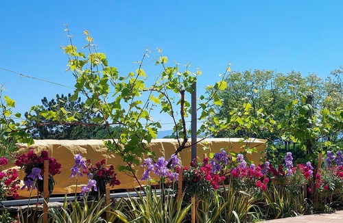 Batomalj Apartment | Nice apartment for 4 people with WIFI, A/C, TV, patio and pets allowed