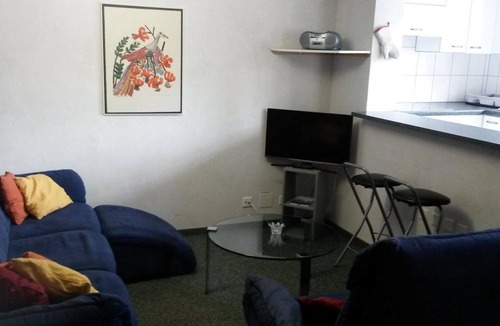 Fiesch Apartment | Nice apartment for 5 guests with WIFI, TV and pets allowed