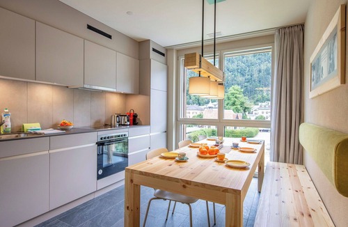 Meiringen Apartment | Nice apartment for 6 guests with WIFI, TV, terrace and pets allowed