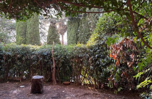 Nice Apartment | Nice Cimiez Garden
