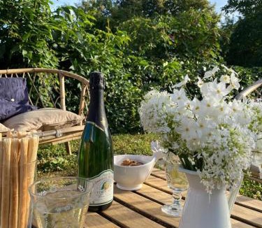 Mouzay House | Nice cottage in a quiet village in the Loire Valley