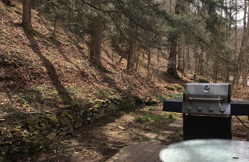 Lairdsville Cabin | “Nice Enough” Creekside Cabin