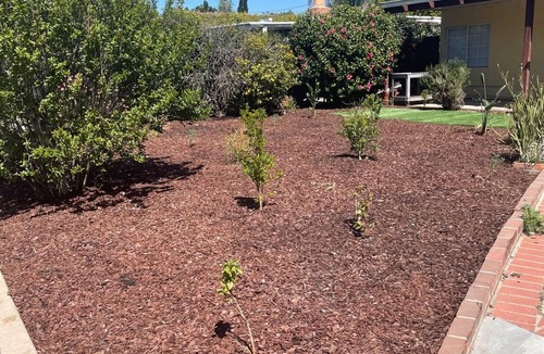 Lake Balboa House | Nice Garden, Quiet neighborhood