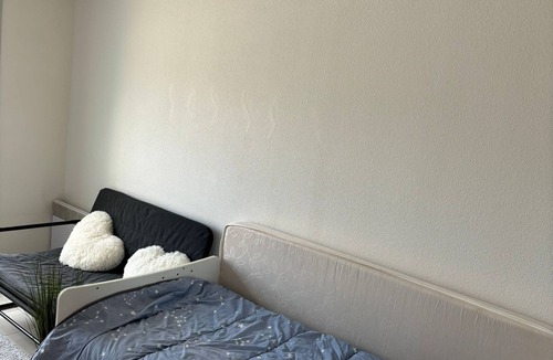 Rangueil-Sauzelong-Pech David-Pouvourville Apartment | Nice little studio near town center