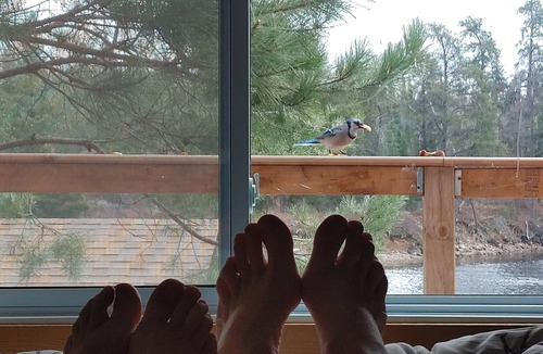 Benny House | Nice Private 2 Bedroom w Lakeside Sauna Gazebo