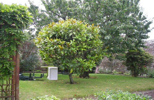 Port-Louis Apartment | Nice private T1 in beautiful Breton house