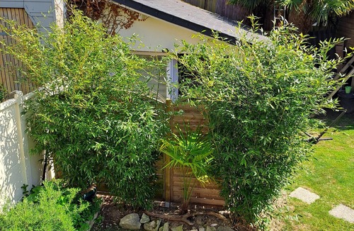 Ouistreham House | Nice quiet studio in a private garden