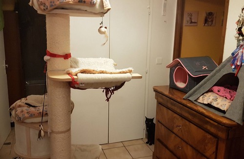 Reignier-Esery Apartment | Nice room in a quiet area