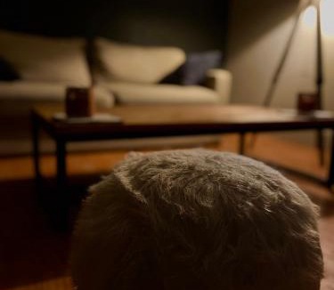 Bellegarde-sur-Valserine Apartment | Nid des lumières