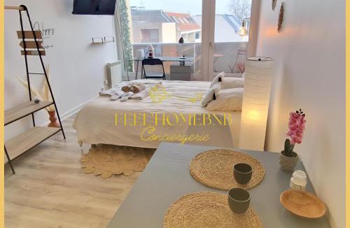 Saint-Pierre - Rene II - Bonsecours Apartment | Nid des Vosges - Cozy, Balcony, Queen size Bed & Nancy Centre