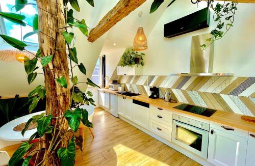 Bagneres-de-Bigorre Apartment | Nid douillet sous les toits avec jacuzzi