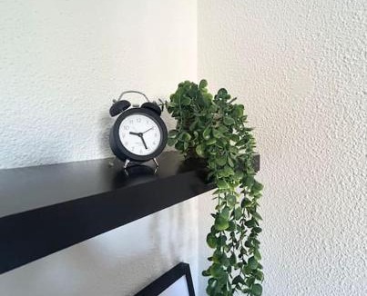 Vauban Esquermes Apartment | Nid Douillet